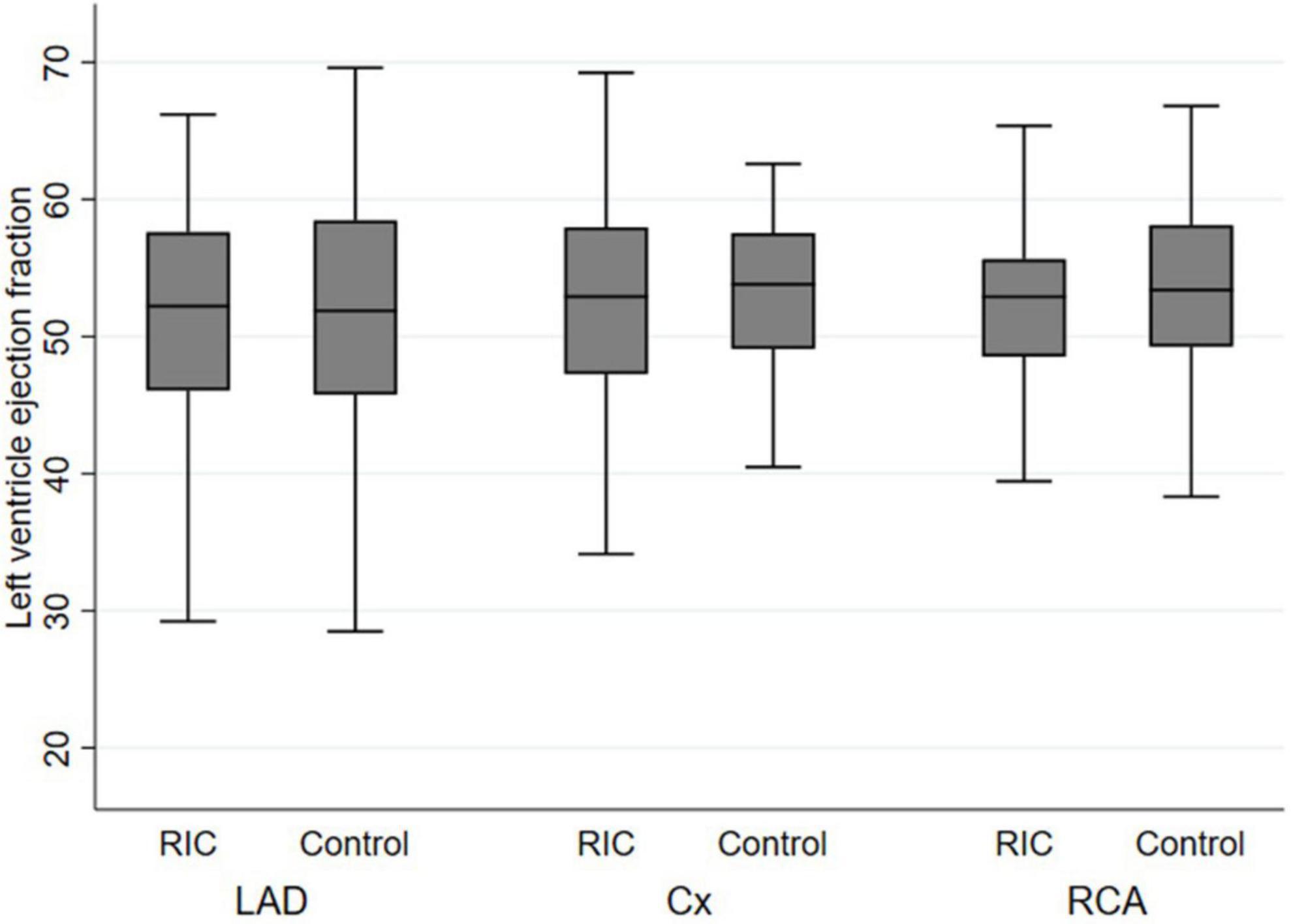Effect of remote ischaemic conditioning on left ventricular function in ST-segment elevation myocardial infarction patients: The CONDI-2 echocardiographic sub-study